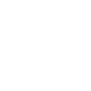 Ícone de documento de viagem para imigração